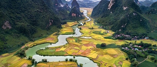 Vietnam